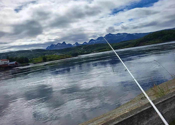 Sokkelleilighet Rett Ved Saltstraumen