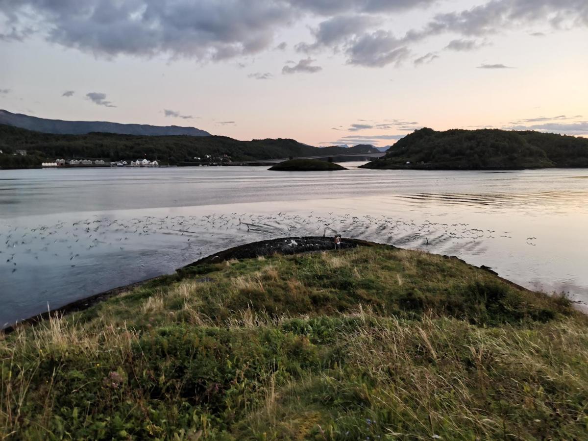 Sokkelleilighet Rett Ved Saltstraumen * Bodø